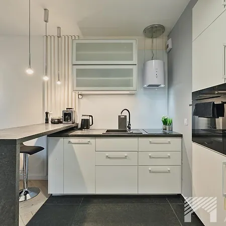 Fuzja Black&white By Lookap Apartament Łódź