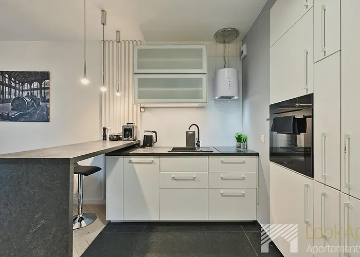 Fuzja Black&white By Lookap Apartment Lodz