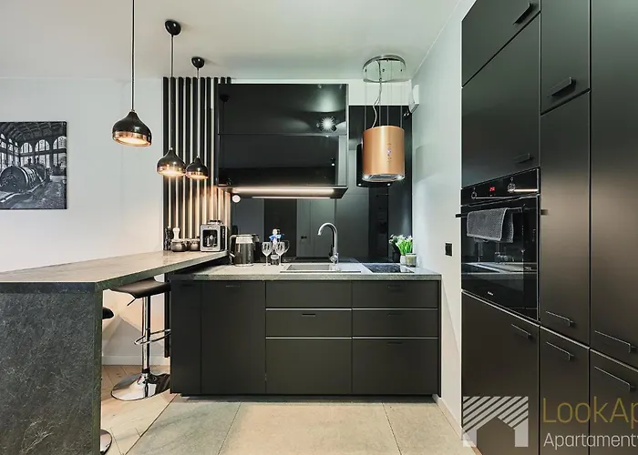 Fuzja Black&white By Lookap Apartment Lodz