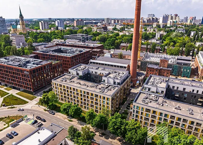 Daire Fuzja Black&white By Lookap *